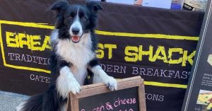 Barktoberfest Carseldine Markets