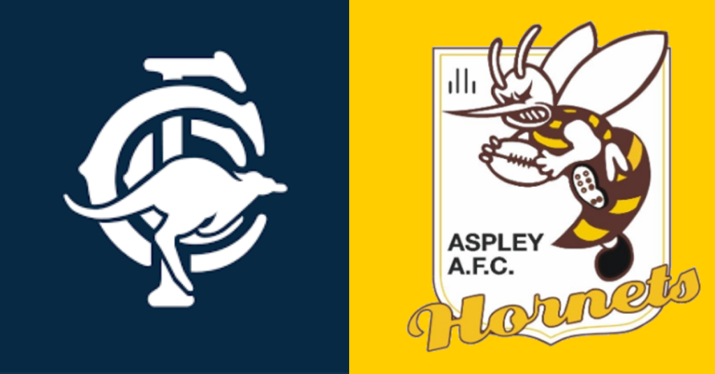 Aspley Hornets